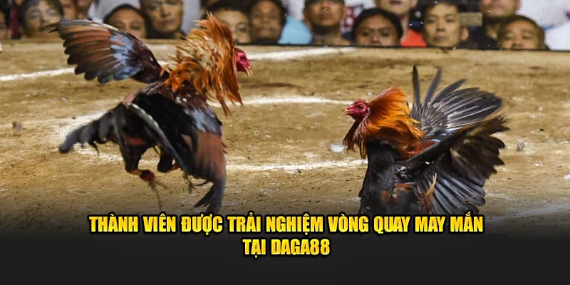 Thành viên được trải nghiệm vòng quay may mắn tại Đá Gà 88